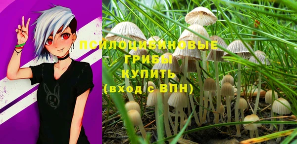 a pvp Абинск