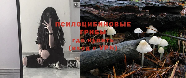 герыч Алексин