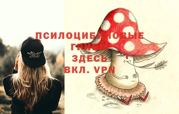 jwh Абаза