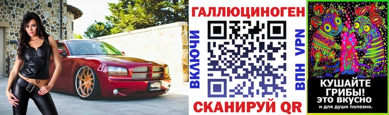 Псилоцибиновые грибы GOLDEN TEACHER Луга