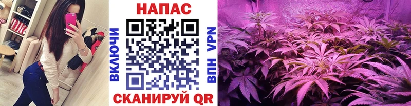 Бошки марихуана VHQ  что такое наркотик  Луга 